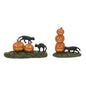 Scary Cats Pumpkins (Set of 2)