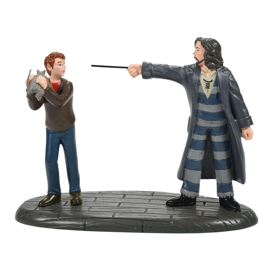 Harry Potter Village Accessories Come Out and Play Peter Sirius Black Figurine, 3.05 Inch, Multicolor