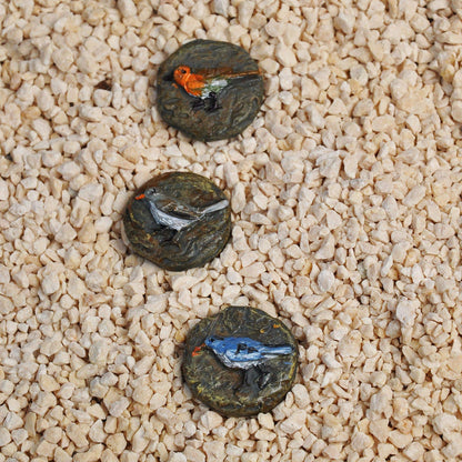 Miniature Fairy Garden Bird Stepping Stones Set of 3