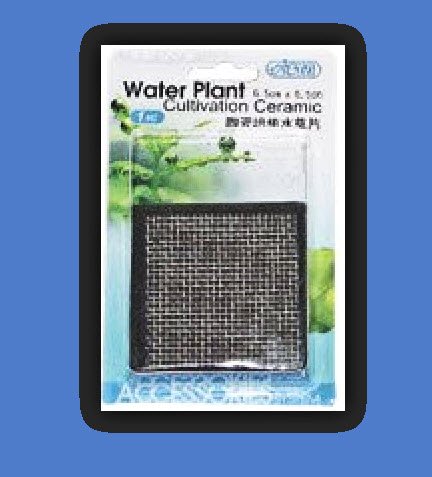 Gulfstream Tropical Magnetic Cultivate Ceramic Square Plant
