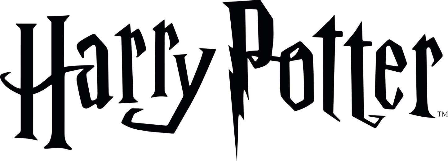 Harry Potter Village Figurine